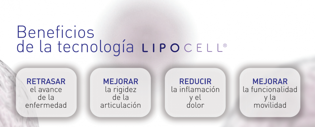 células madre mesenquimales